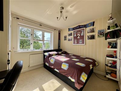 Picture 13